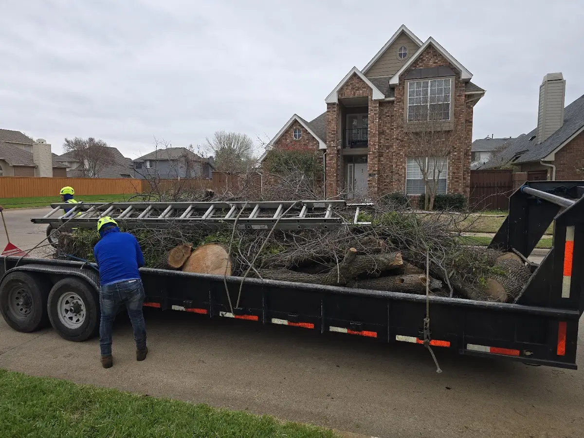 Expert Tree Fertilization with proper safety equipment in Varnell